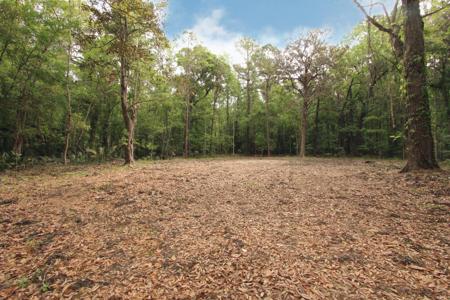 3337 Walter Drive, Johns Island SC 29455