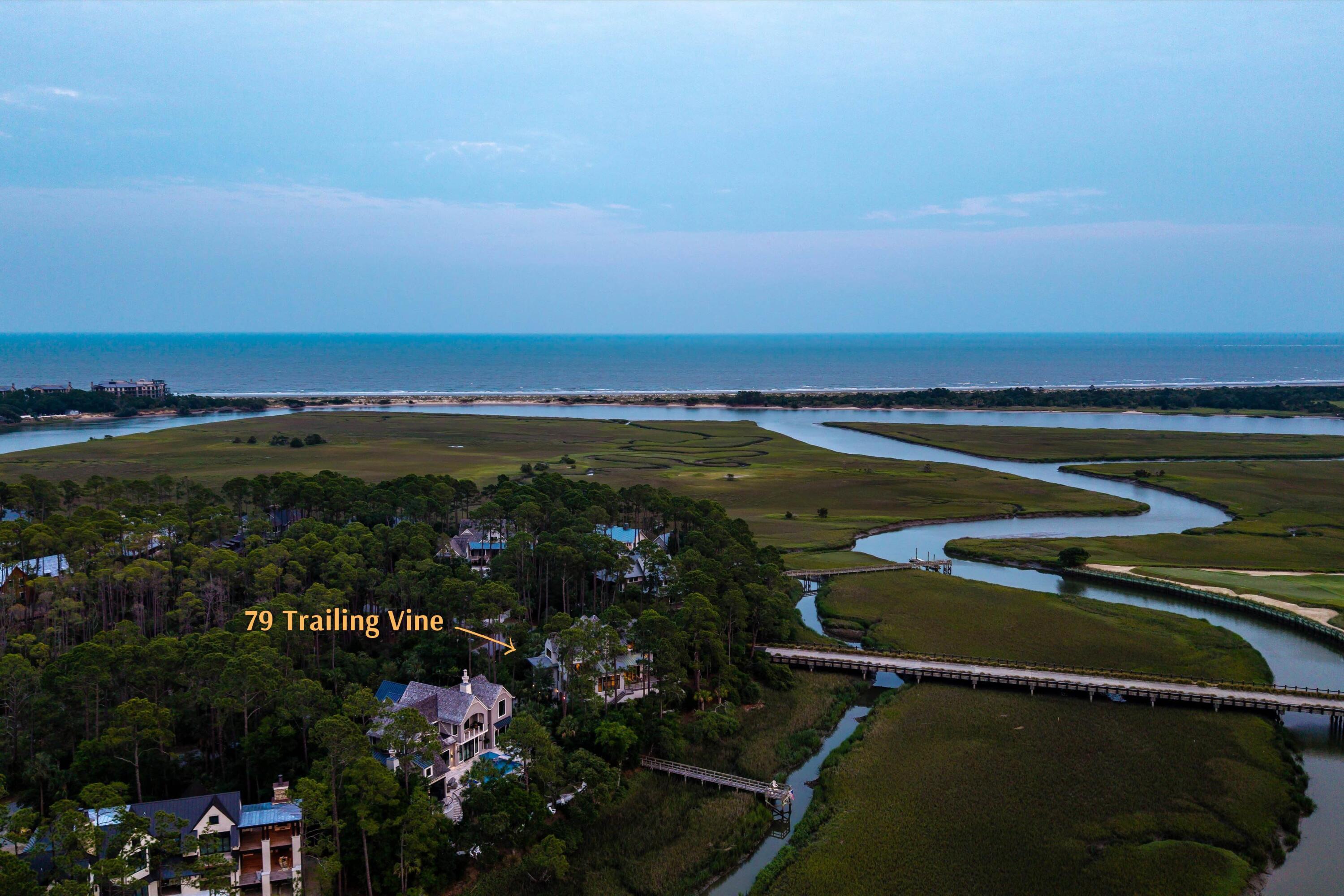 Image 2: 79 Trailing Vine