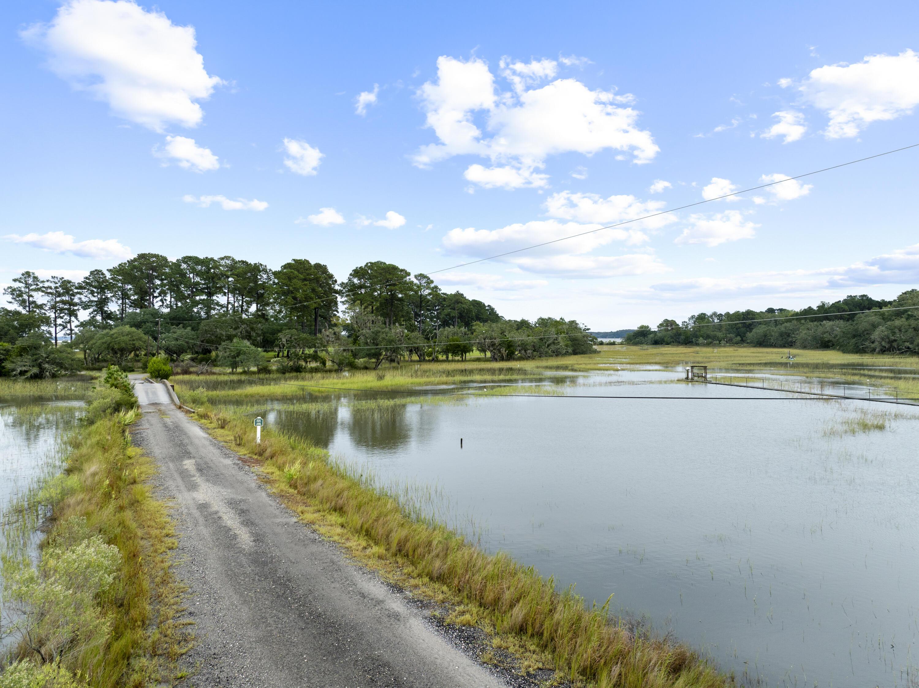 Image 2: LongIslandRd.NicoleBurbagePhoto1