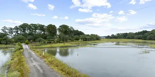 Image 2: LongIslandRd.NicoleBurbagePhoto1