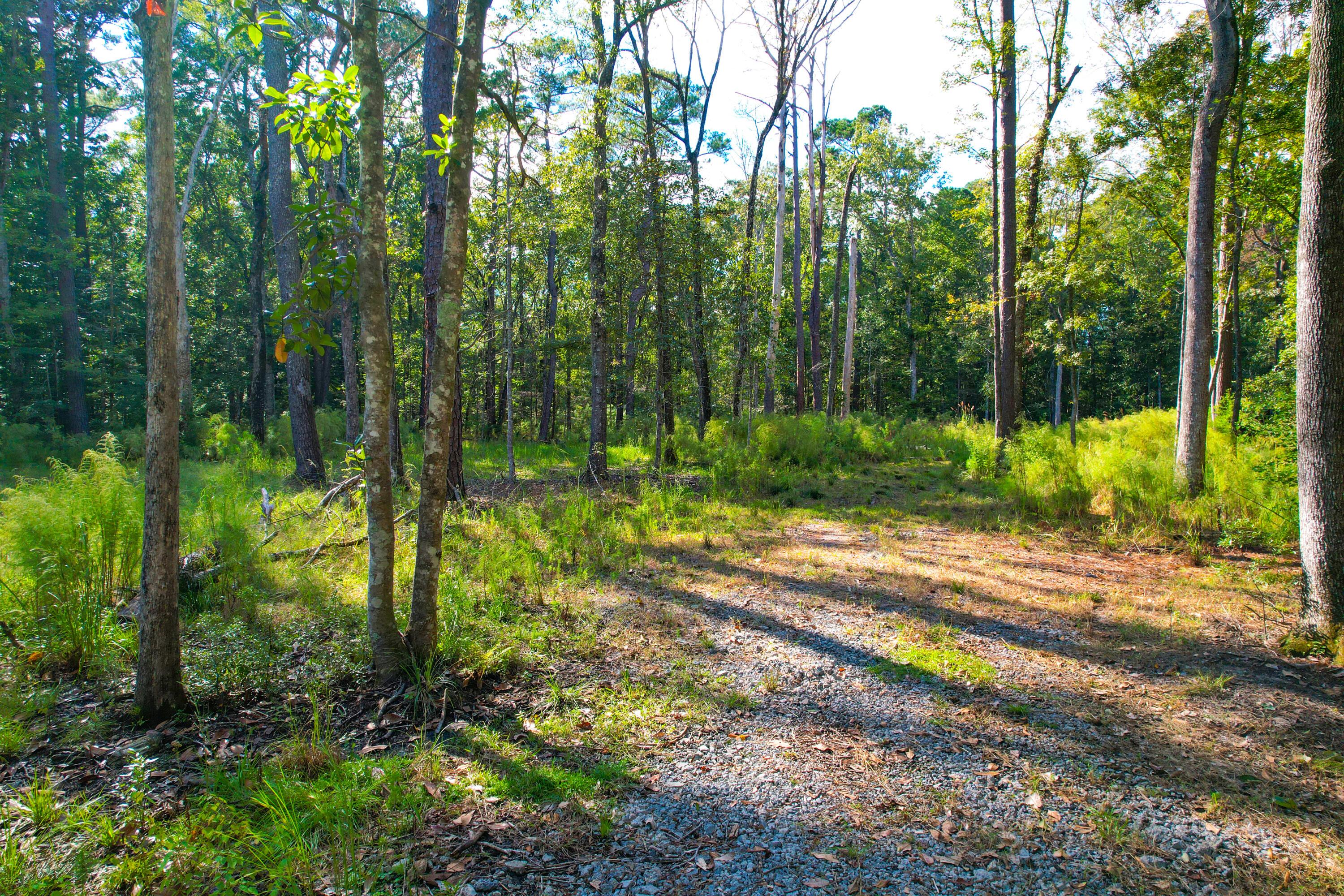 Image 2: 4759 Summit Plantation (3)