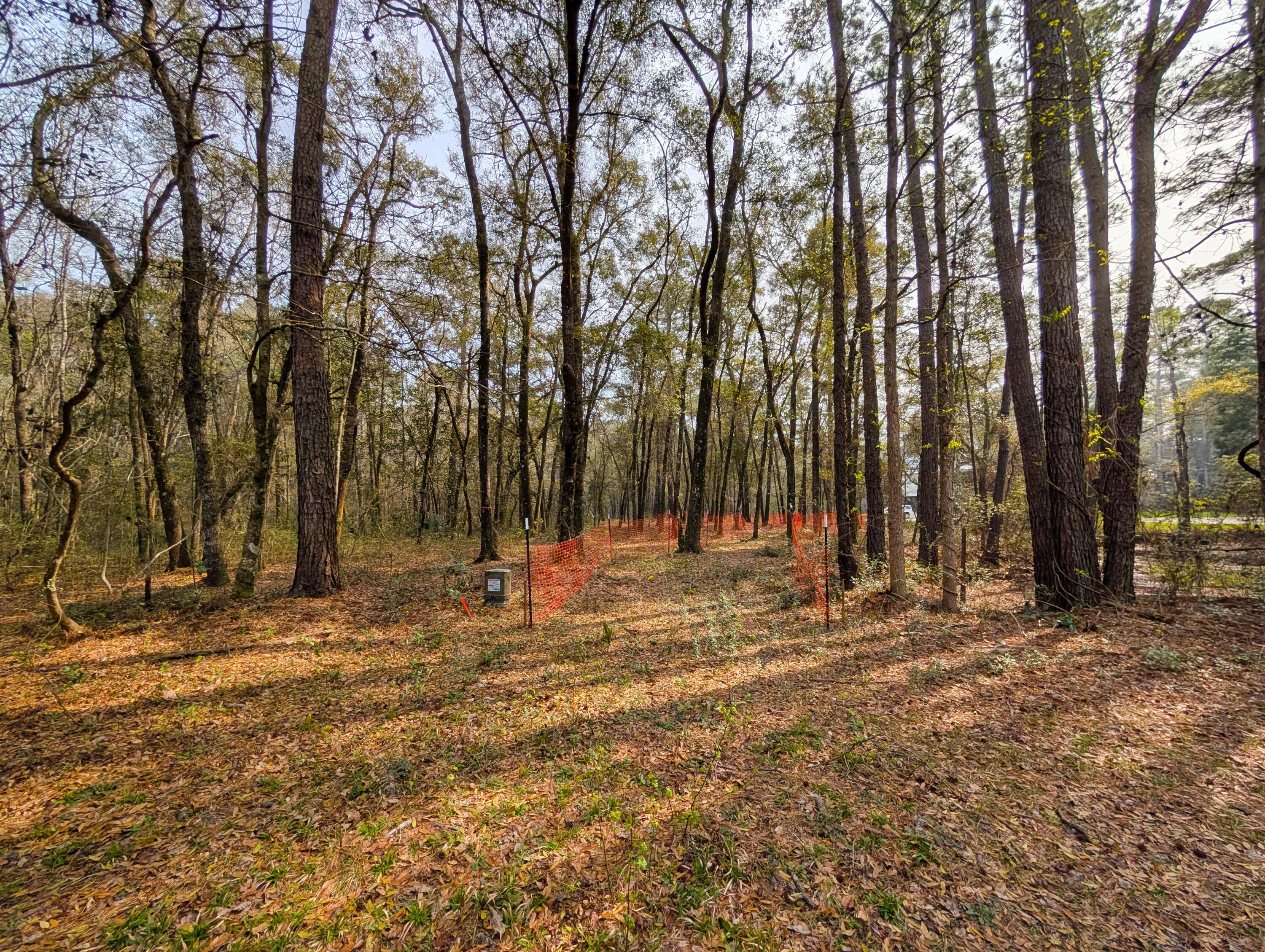 Image 3: 2