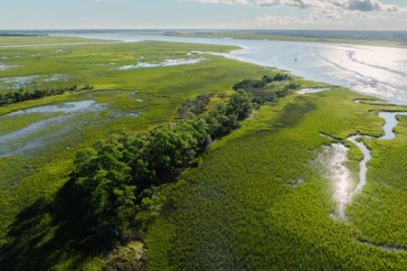 Stono River