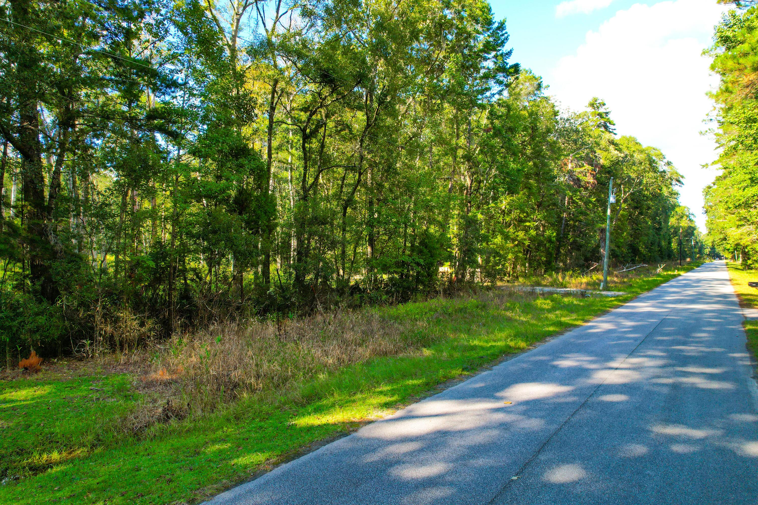 Image 3: 4759 Summit Plantation (13)