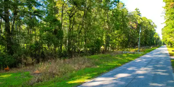 Image 3: 4759 Summit Plantation (13)