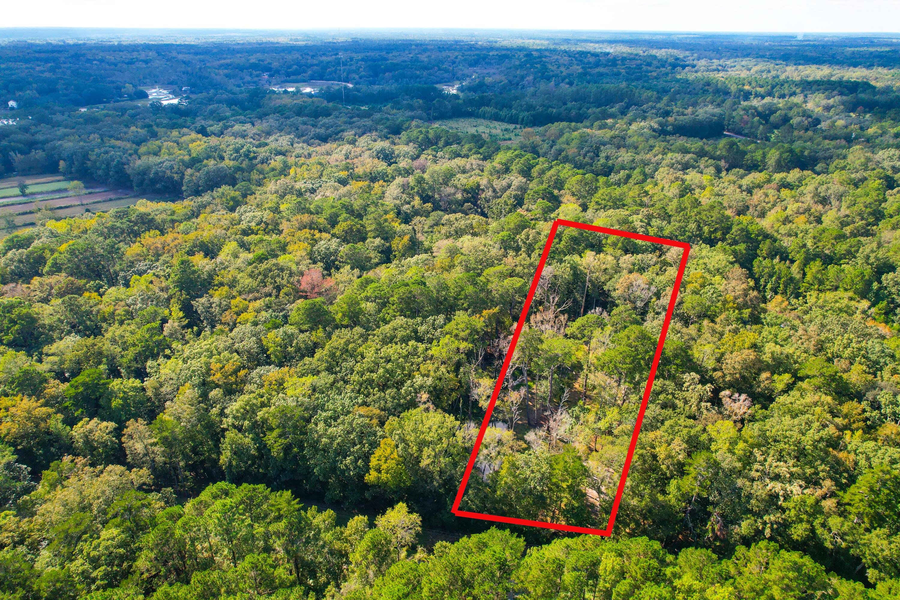 Image 4: 4759 Summit Plantation (23)
