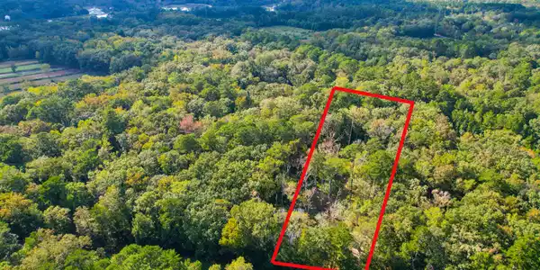 Image 4: 4759 Summit Plantation (23)