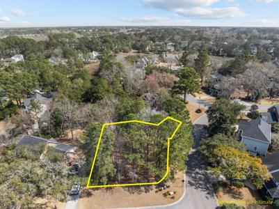 501 Chimney Bluff Drive