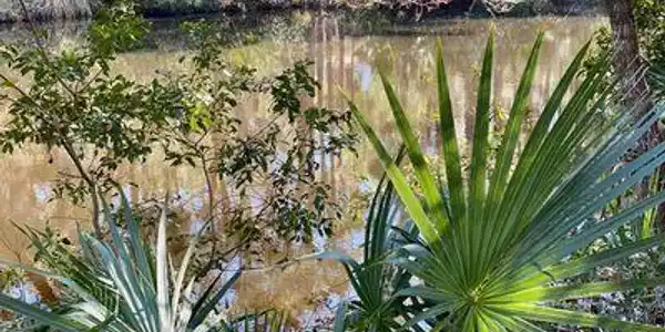2734 Old Oak Walk, Seabrook Island SC 29455
