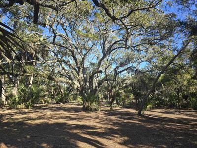 58 Painted Bunting Trail