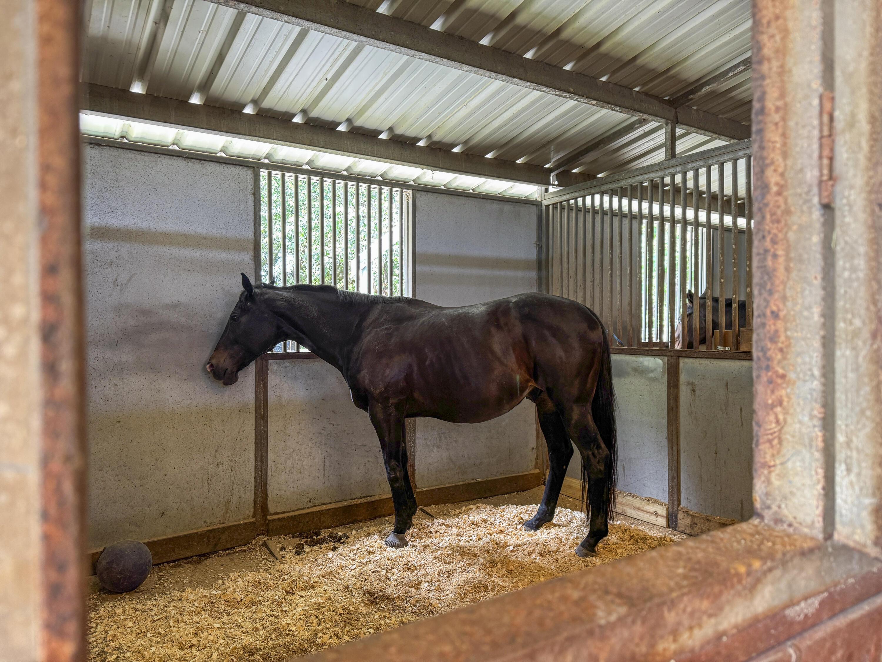 Image 3: Photo May 13 2025, 3 28 33 PM