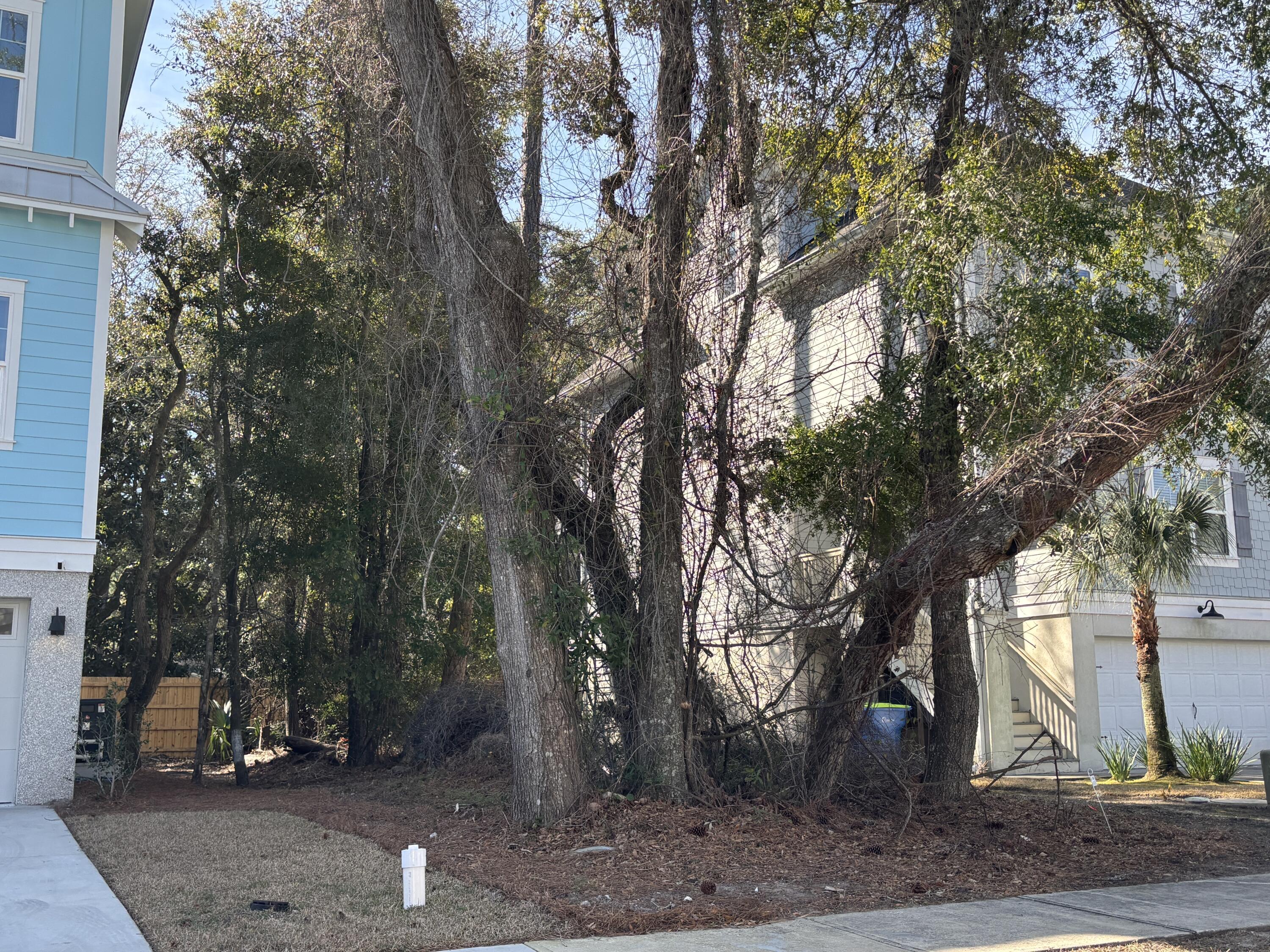 Image 2: Side view