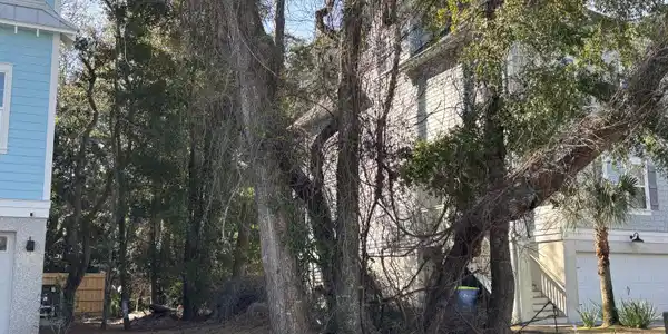 Image 2: Side view