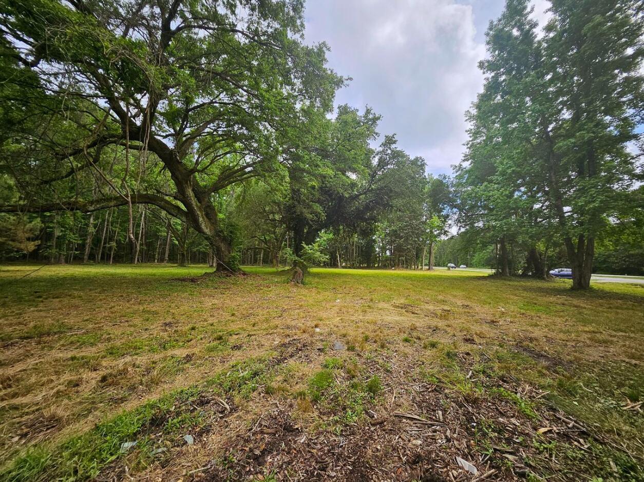 Image 4: Mostly cleared