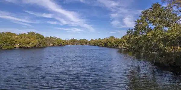 709 Lake Frances Drive, Charleston SC 29412
