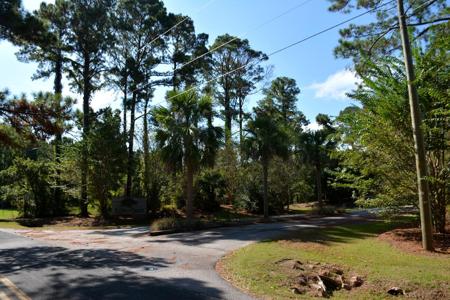 61 Osprey Road