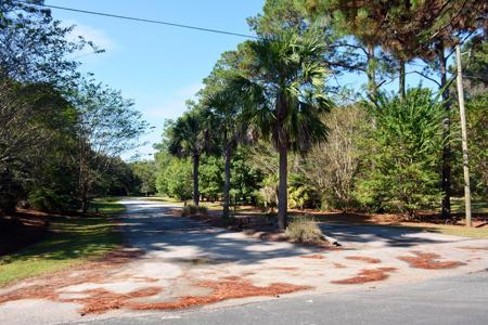 Lot 48, Edisto Island SC 29438 48 Seaside Lane