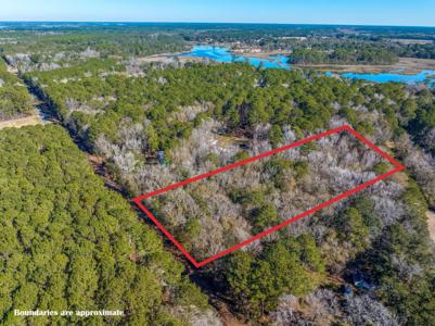1670 Tacky Point Road, Wadmalaw Island SC 29487