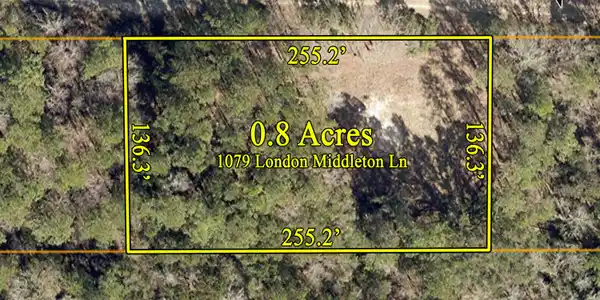 1079 London Middleton Lane Lane, McClellanville SC 29458