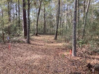 4636 Maybank Highway, Wadmalaw Island SC 29487