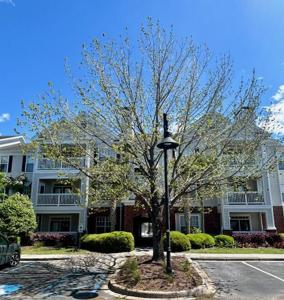 45 Sycamore Avenue # 1128, Charleston SC 29407