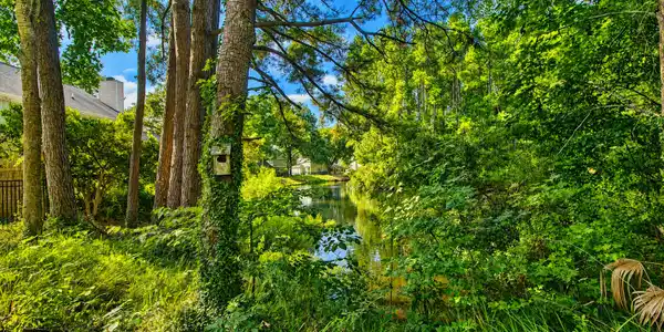 Image 2: 1281 Horseshoe -Tidalcreekphoto- (8)