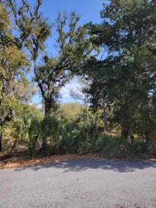10 Heron Cove, Edisto Island SC 29438