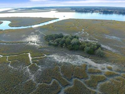 Buzzard Island, Charleston SC 29412