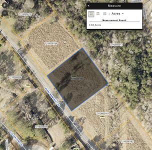 2 Irving Manigault Road, McClellanville SC 29458