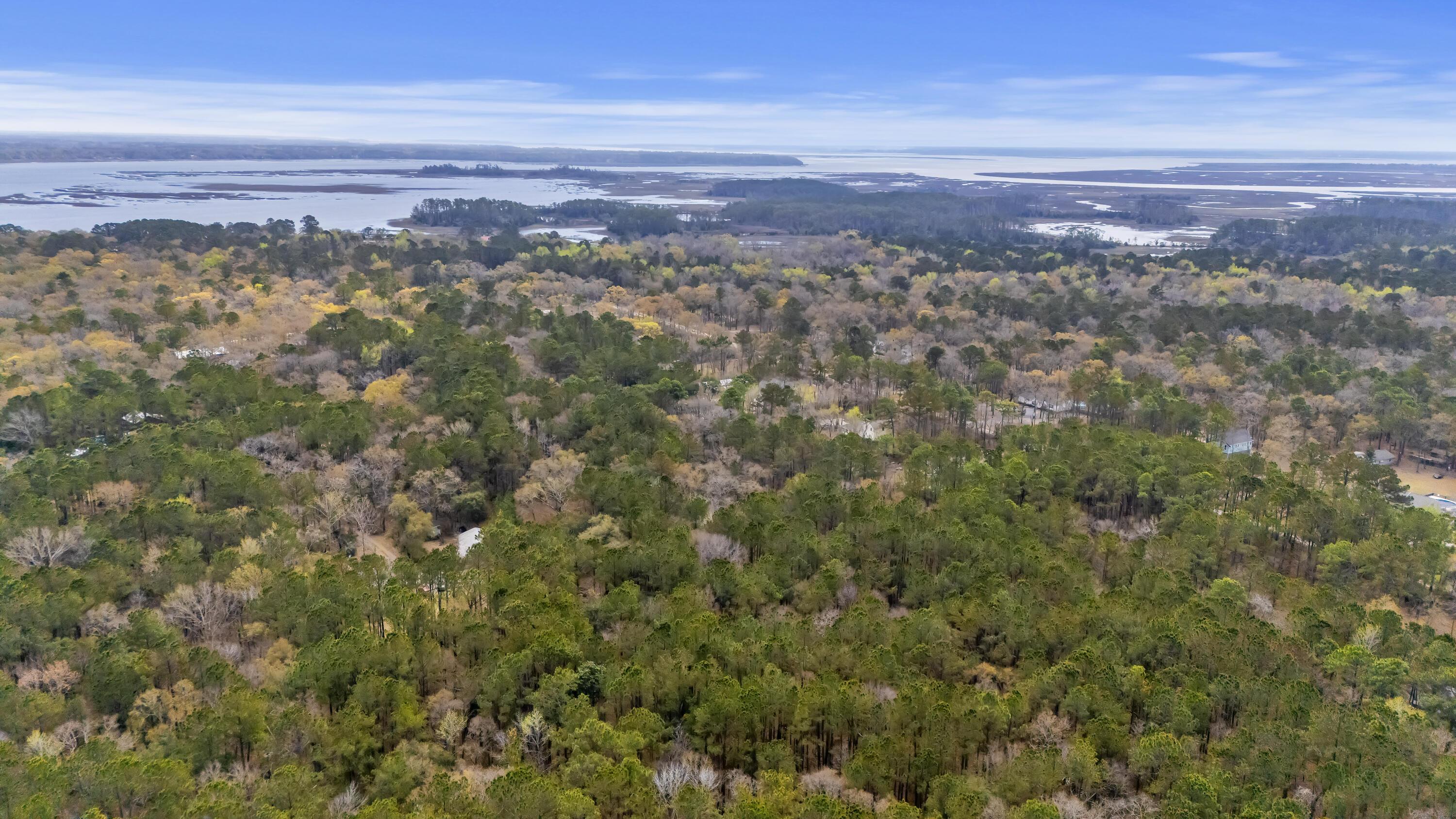 Image 4: DJI_20250320131418_0749_D