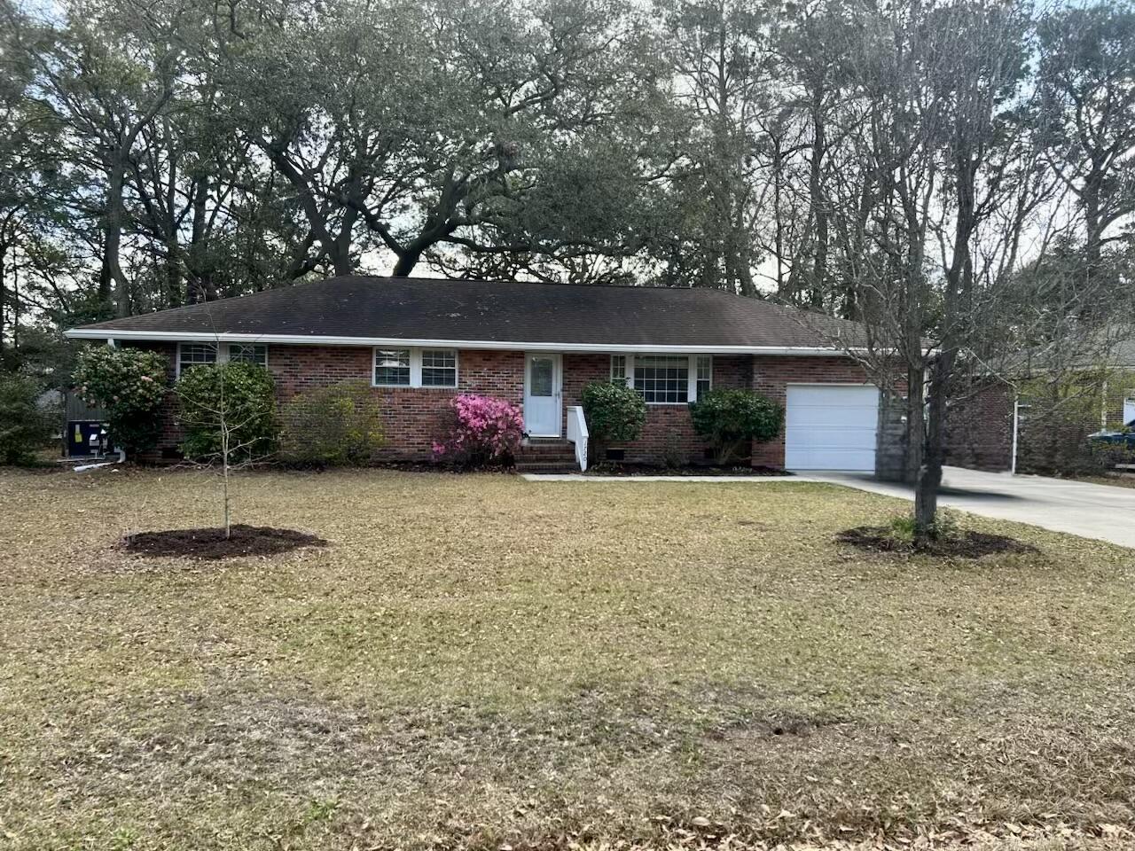 Image 2: Starting to bloom!