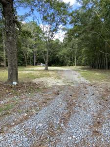 5465 Chisolm Road
