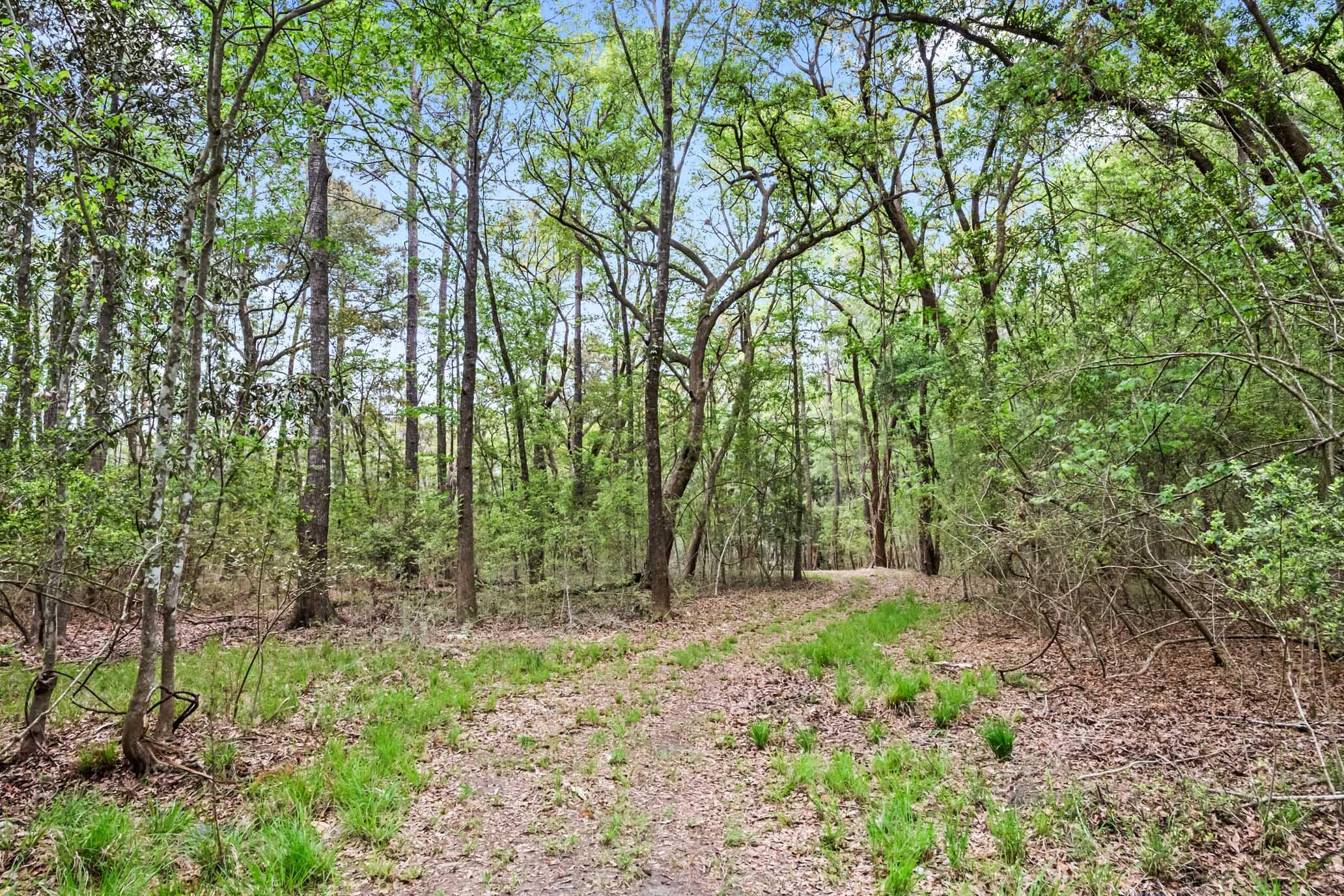 Image 4: HFL_RAVENS POINT-7