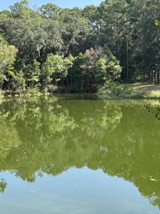 2486 Bald Eagle Lane, Johns Island SC 29455