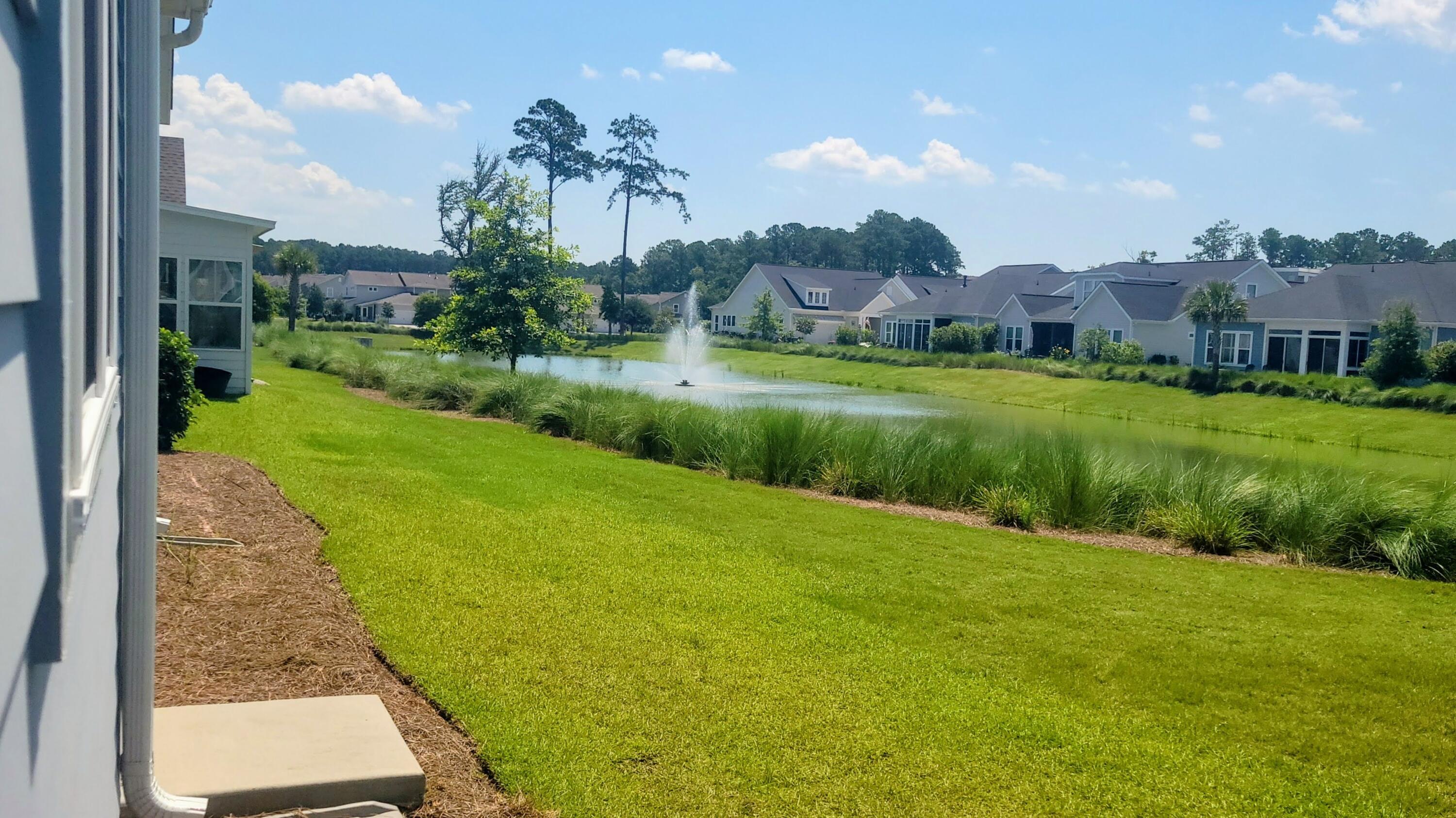 Image 4: pond