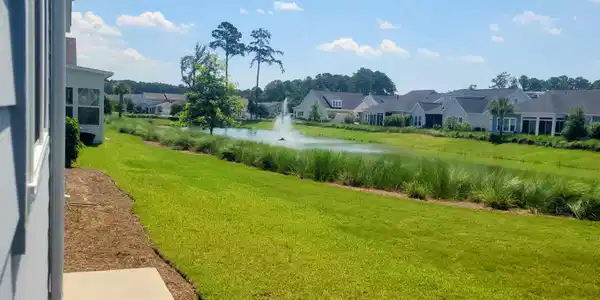 Image 4: pond