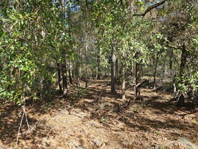 890 Flowers Lane, Edisto Island SC 29438
