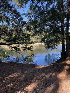 873 Sedge Court