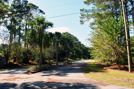 59 Seaside Lane, Edisto Island SC 29438