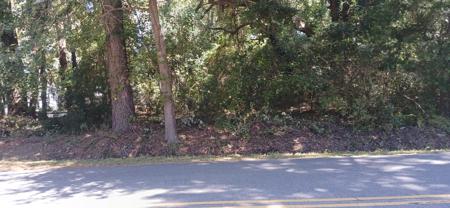 Pineland Drive