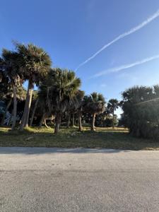 1505 Marianne Street