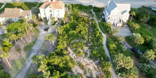 310 Ocean Boulevard