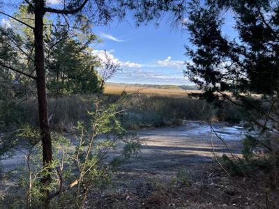Causey Pond Road