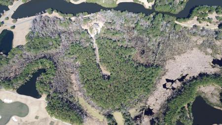 Lot 41 Nesting Egret Drive