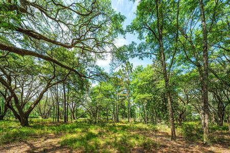 Lot 5 King Rail Lane