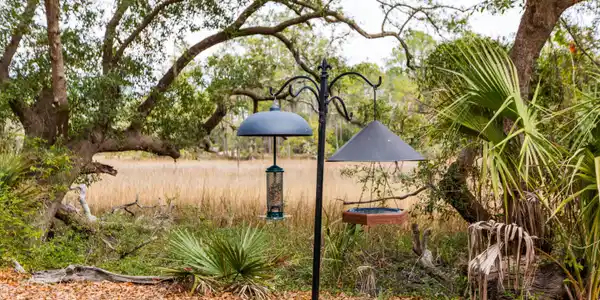 130 River Landing Drive