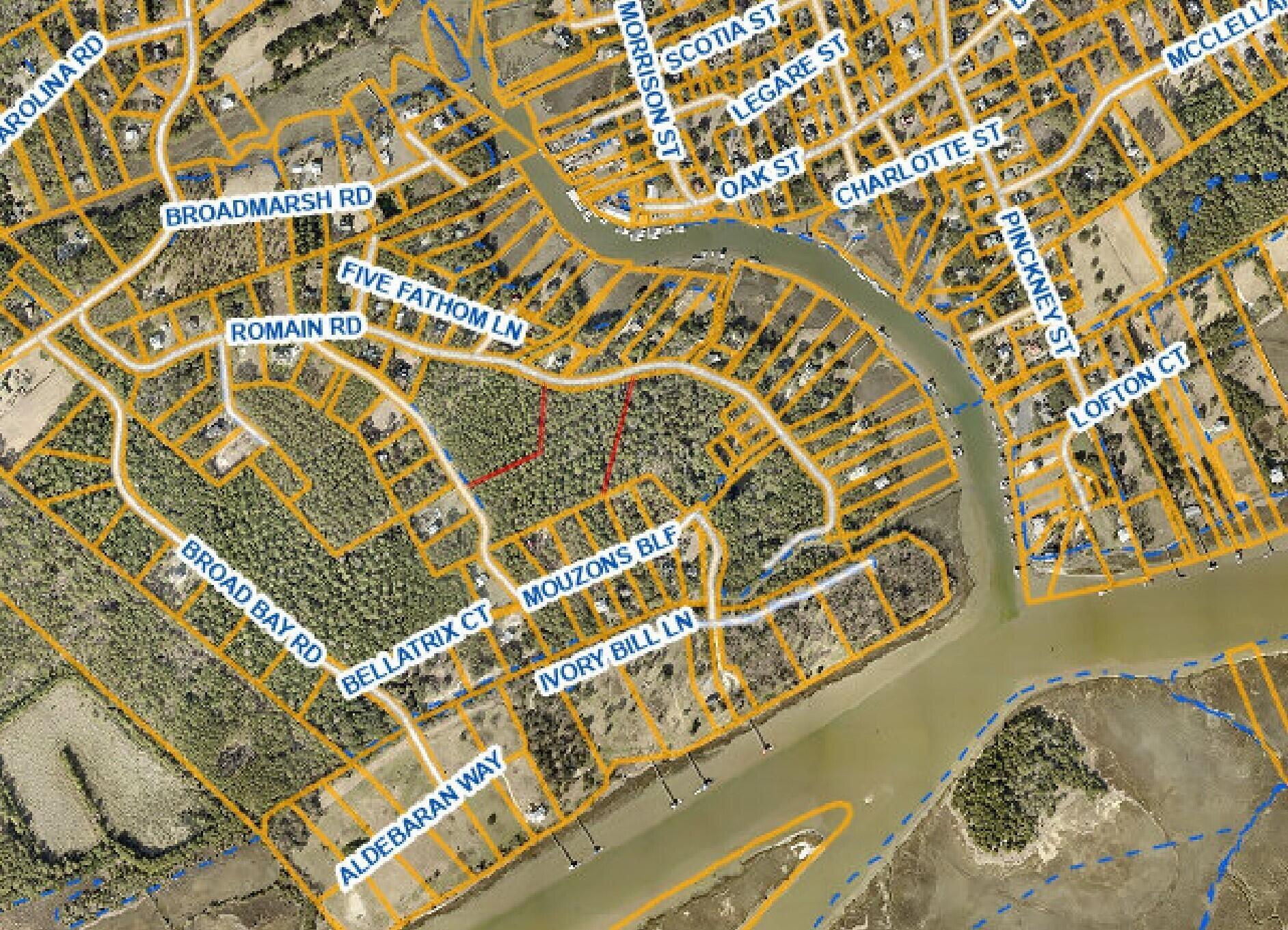 Image 1: 3 large lots romain jpg