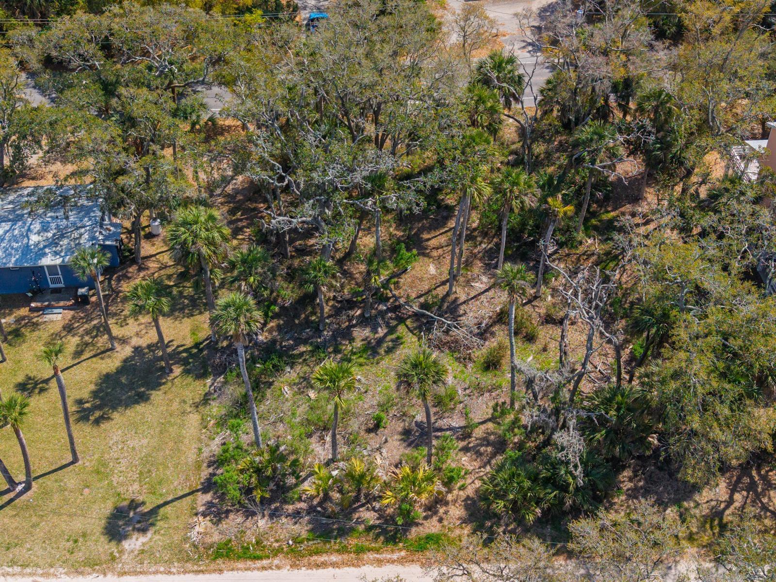 Image 4: 307 Jungle Road