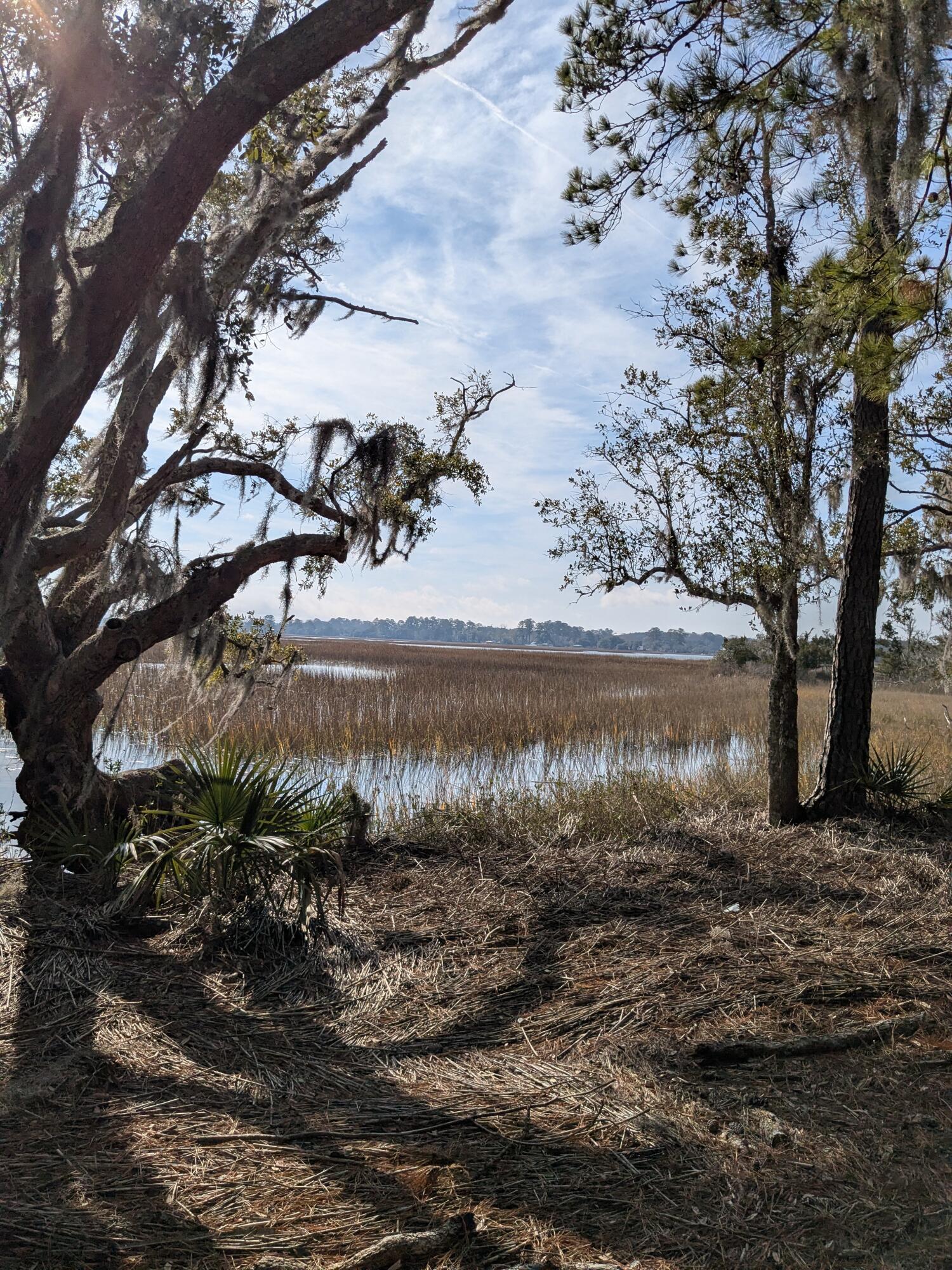 Image 4: Archfield Plantation Marchview 1