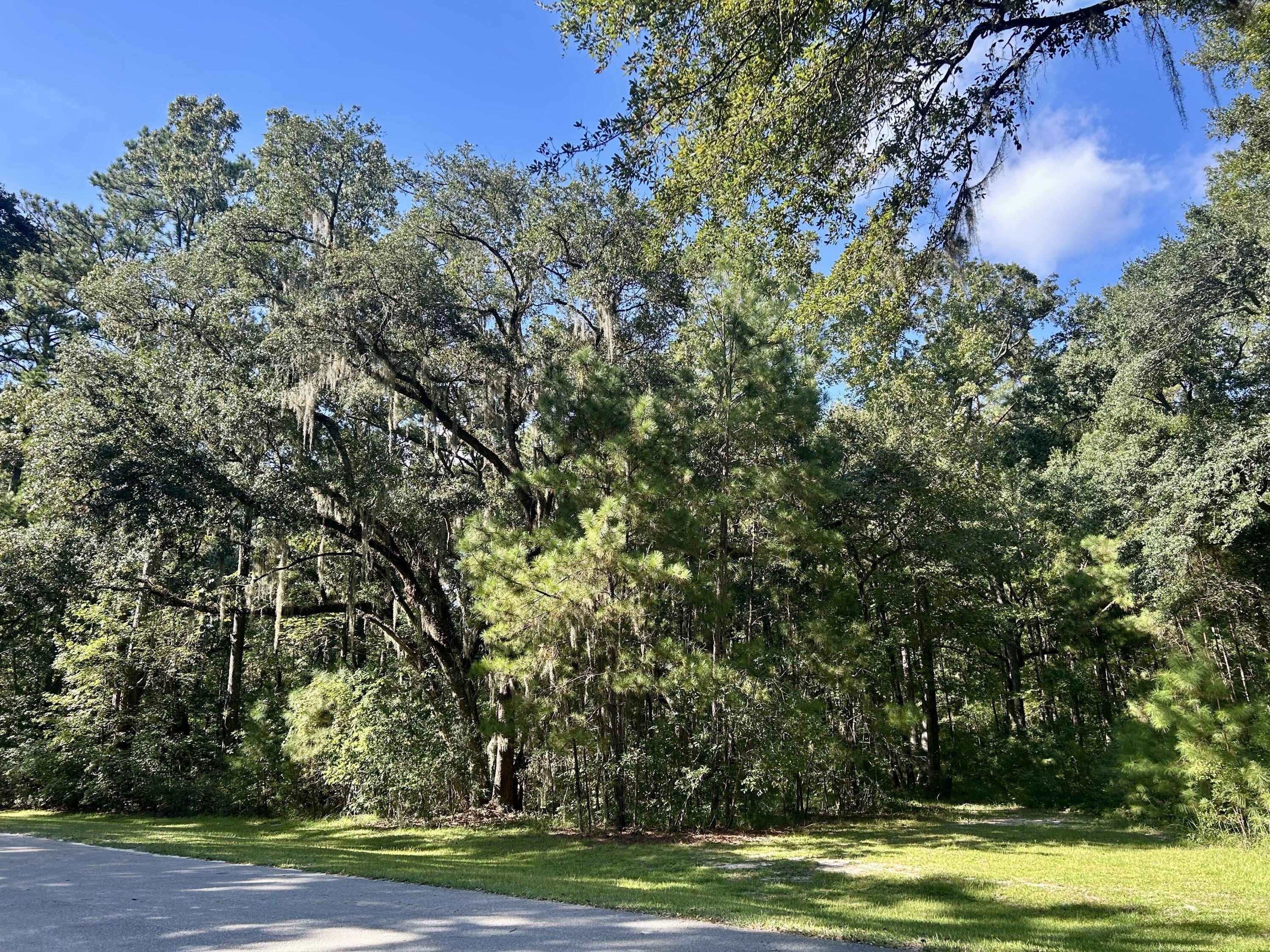 Image 2: Land Picture